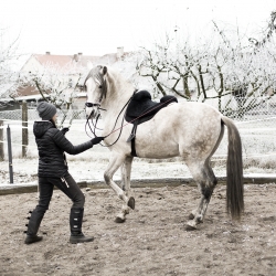 nácvik školního zastavení